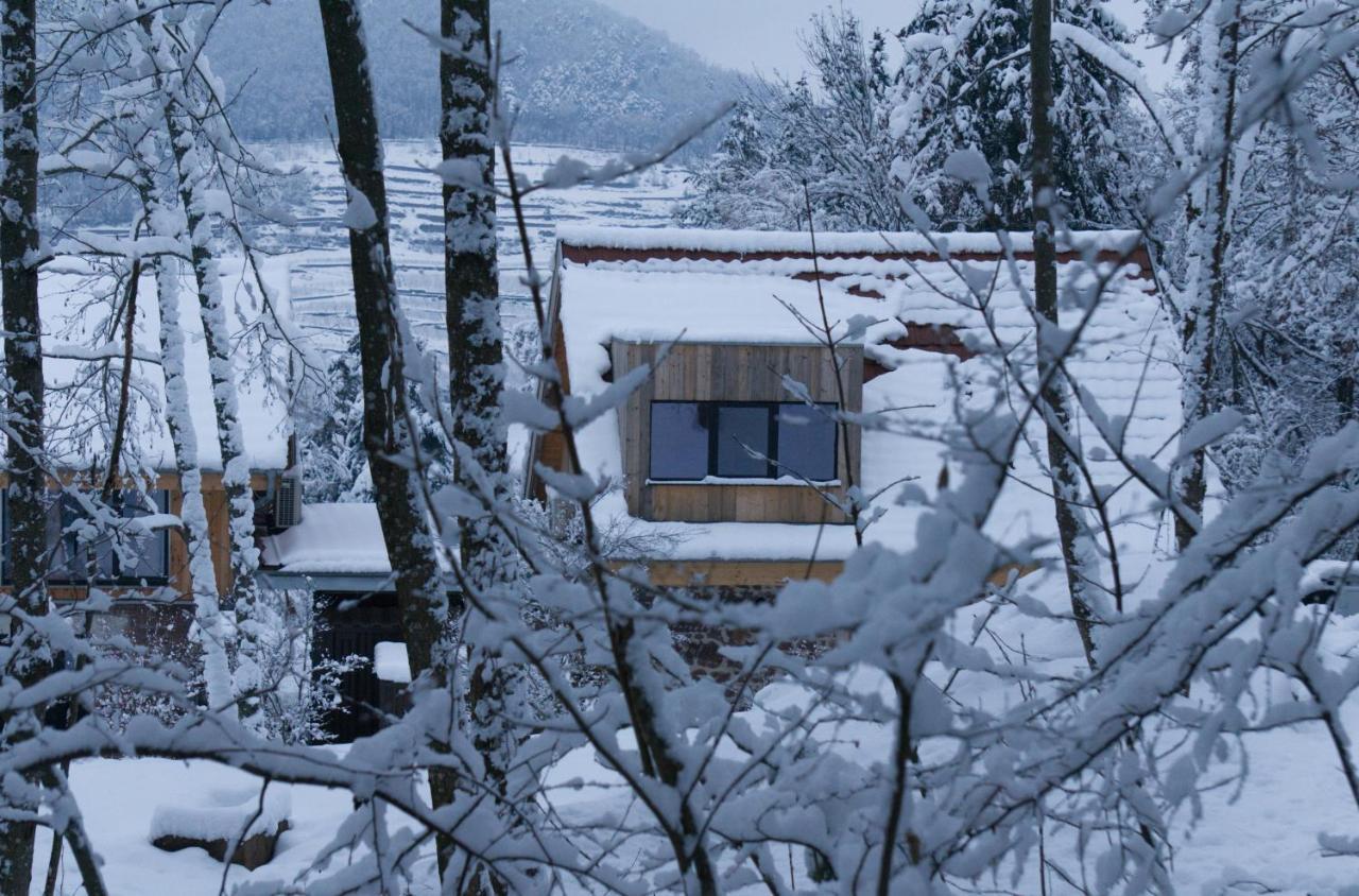 Le Grand Petit Prince - Domaine De Charme - Jacuzzis Privatifs Guebwiller Eksteriør billede