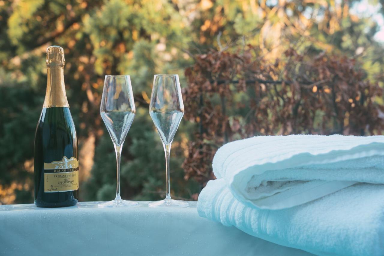 Le Grand Petit Prince - Domaine De Charme - Jacuzzis Privatifs Guebwiller Eksteriør billede