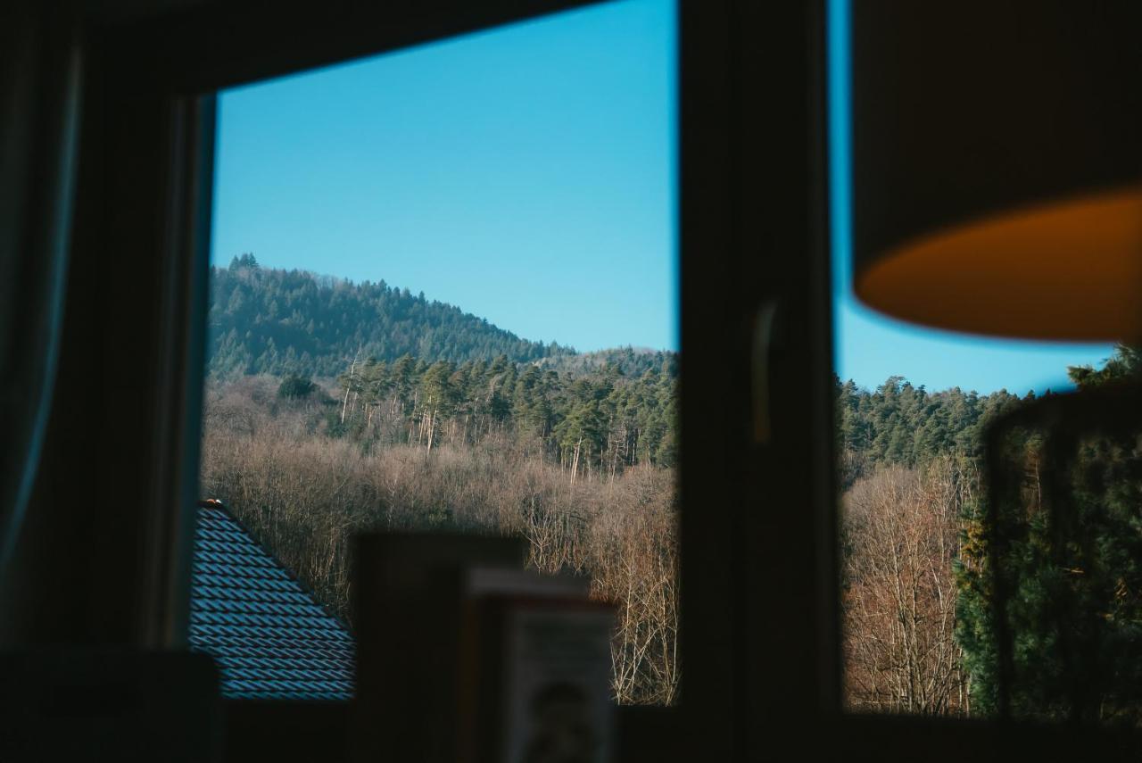 Le Grand Petit Prince - Domaine De Charme - Jacuzzis Privatifs Guebwiller Eksteriør billede